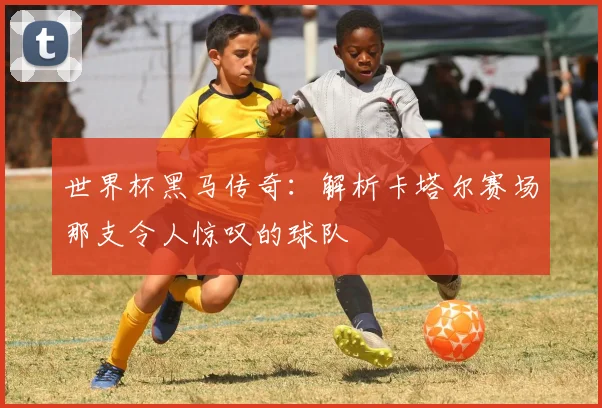 世界杯黑马传奇：解析卡塔尔赛场那支令人惊叹的球队
