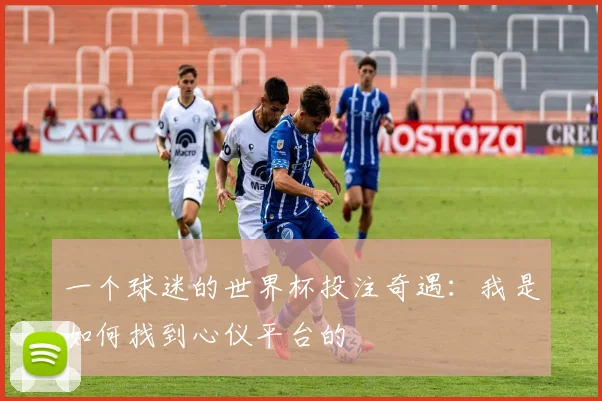 一个球迷的世界杯投注奇遇：我是如何找到心仪平台的