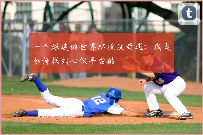 一个球迷的世界杯投注奇遇：我是如何找到心仪平台的
