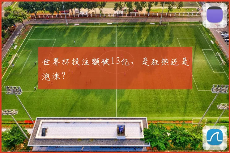 世界杯投注额破13亿，是狂热还是泡沫？