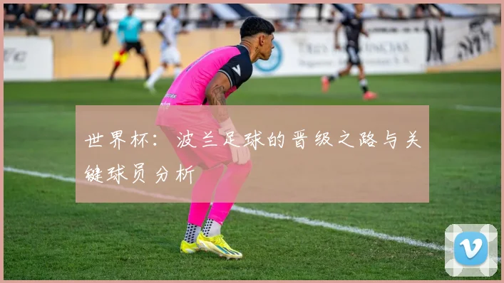 世界杯:波兰足球的晋级之路与关键球员分析